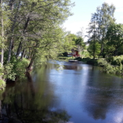 stiller Flusslauf im Sommer